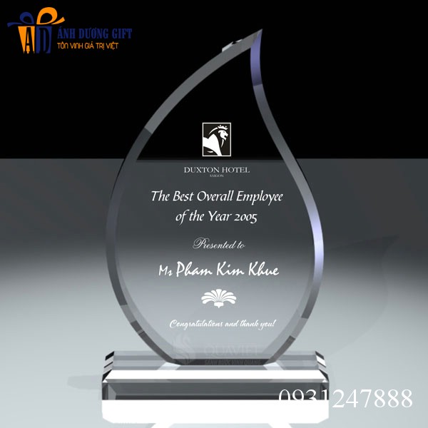 Kỷ niệm chương pha lê KNC00A2